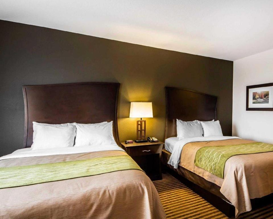 Comfort Inn & Suites Alva Bagian luar foto